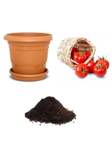 Muka Botanik Meşhur Falkon Domates Tohumu Ekim Seti ürün görseli