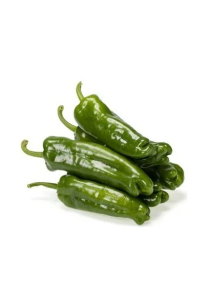 Muka Botanik Köy Biberi Tohumu 20+ Adet Tohum ürün görseli