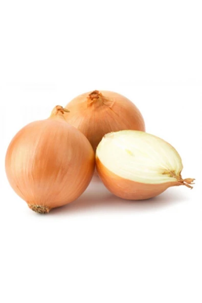 Muka Botanik Süper Paket 2500 Adet Tohum Ithal Kışlık Soğan Tohumu - Resim 3