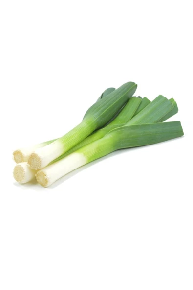 Muka Botanik Yerli Inegöl Pırasa Tohumu 40 Adet Tohum - Resim 5