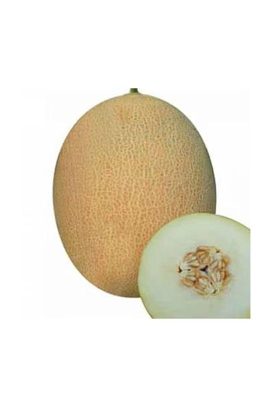 Muka Botanik Ananas Kavun Tohumu 15 Adet Tohum Bal Kavun