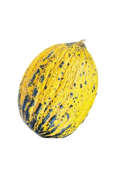 Muka Botanik Altınbaş Kavun Tohumu 15 Adet Tohum ürün görseli