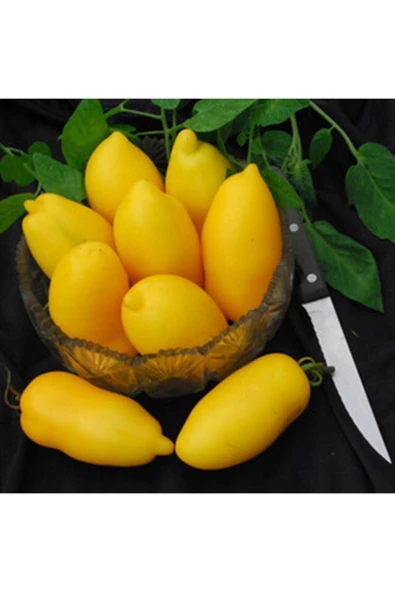 Muka Botanik Roman Candle Domates Tohumu ürün görseli