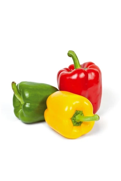 Muka Botanik Renkli California Biberi Tohumu /eko Paket 100 + Adet - Resim 3