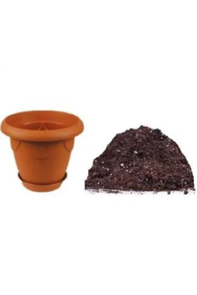 Muka Botanik Mor Çan Çiçeği Tohumu Ekim Seti - Resim 6