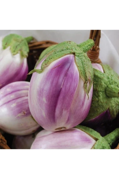 Muka Botanik 10 Adet Italyan Rosa Patlıcan Tohumu ürün görseli