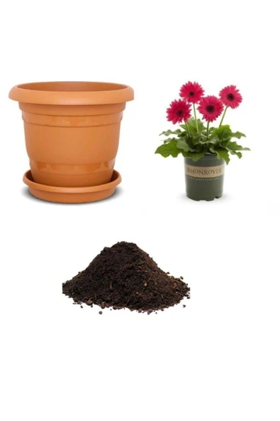 Muka Botanik Karışık Gerbera Çiçeği Tohumu Ekim Seti ürün görseli