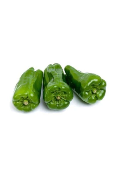 Muka Botanik Meşhur Üç Burun Mazamort Biber Tohumu 25 Adet Tohum - Resim 4