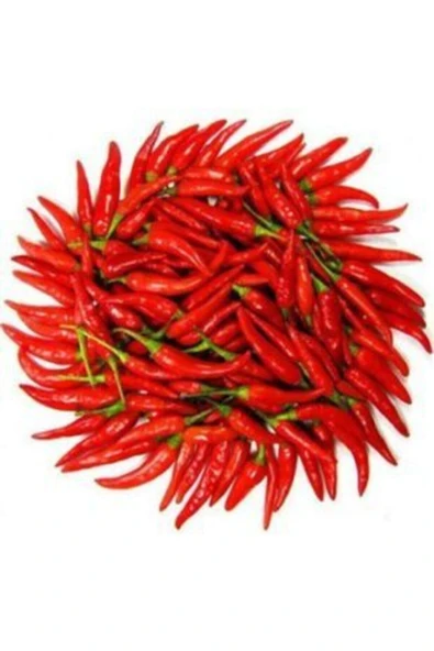 Muka Botanik Ithal Acı Macar Biberi Tohumu Ekim Seti - Resim 2