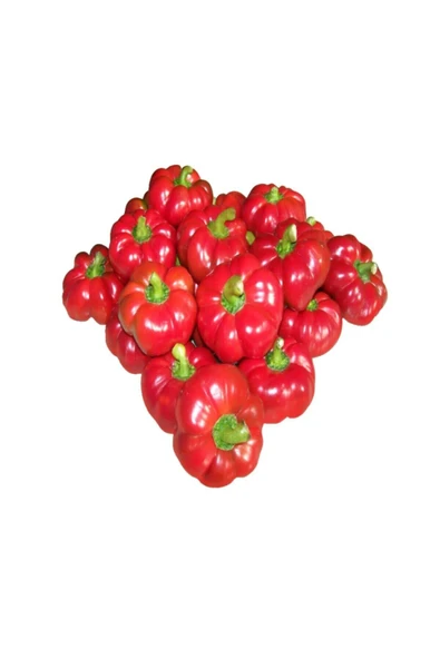 Muka Botanik Peynir Biberi Tohumu / 10+tohum