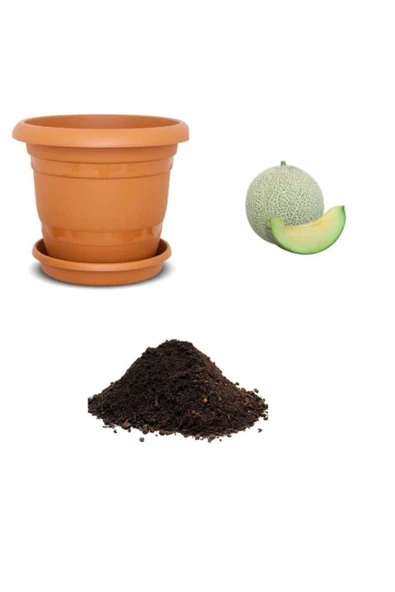 Muka Botanik Saksılık Japon Kavunu Tohumu Ekim Seti ürün görseli