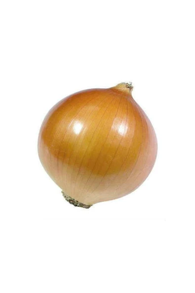 Muka Botanik Süper Paket 2500 Adet Tohum Ithal Kışlık Soğan Tohumu ürün görseli