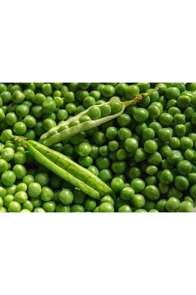 Muka Botanik 10 Adet Pea (bezelye) Tohumu ürün görseli