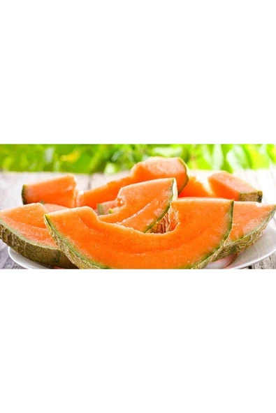 Muka Botanik 10 Adet Cantalupo Kavun Tohumu - Resim 2