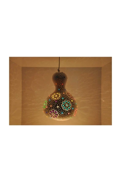 Muka Botanik Nadir Su Kabağı Tohumu 6 Adet Tohum Süs Kabağı Tohumu - Resim 3