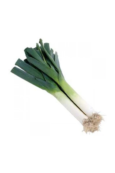 Muka Botanik Bursa Inegöl Pırasa Tohumu 100 Adet Tohum ürün görseli