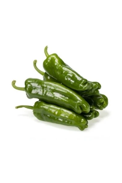 Muka Botanik Yeşil Köy Biberi Tohumu / 20 Adet ürün görseli