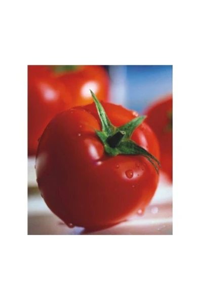 Muka Botanik Agrobazaar Sofralık 2274 Domates Tohumu 25 Tohum ürün görseli