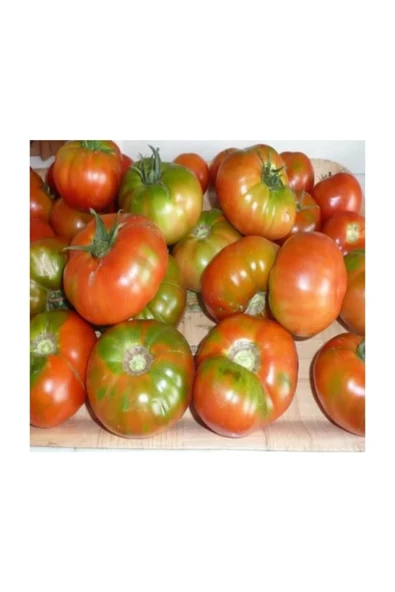 Muka Botanik Yayla Domatesi Tohumu 15 Adet Tohum Alacalı Domates Tohumu - Resim 3