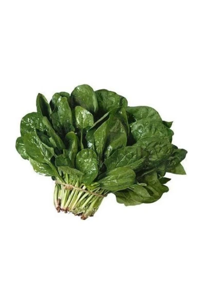 Muka Botanik Kuzu Ispanak 200+ Tohum. ürün görseli