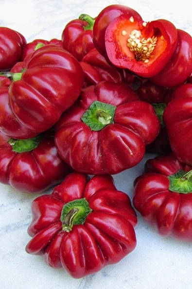 Muka Botanik Kamber Domates Biberi Tohumu / 10+ Adet Tohum - Resim 3