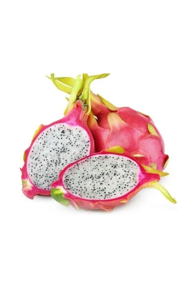 Muka Botanik Pitaya Ejder Meyvesi Tohumu 10 Adet Tohum Pithaya Dragon Fruit ürün görseli