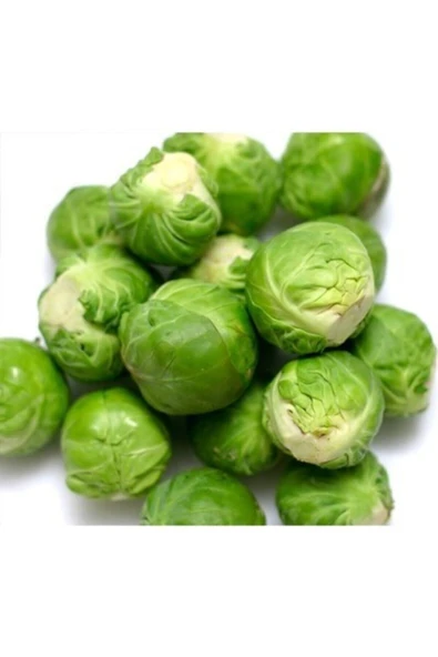 Muka Botanik Agrobazaar Brüksel Lahanası 10+ Tohum ürün görseli