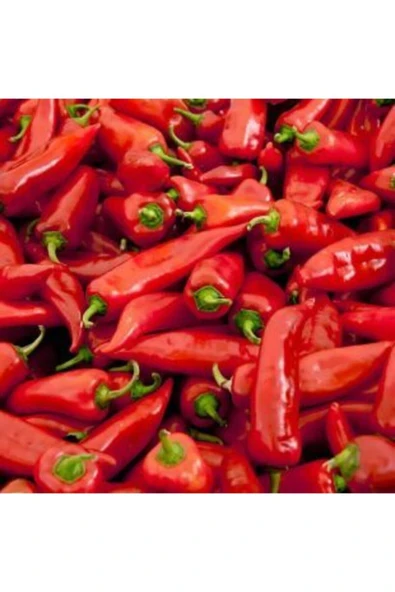 Muka Botanik Tatlı Kırmızı Kapya Biberi Tohumu Ekim Seti - Resim 4