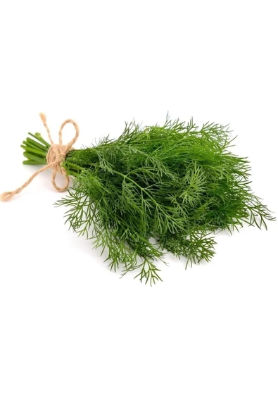 Muka Botanik Organik Yerli Dere Otu Tohumu / 50 Adet Tohum - Resim 2