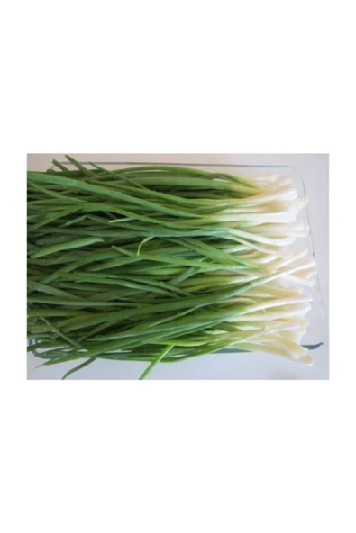 Muka Botanik Taze Firik Yeşil Soğan Tohumu 100 Adet Tohum - Resim 2