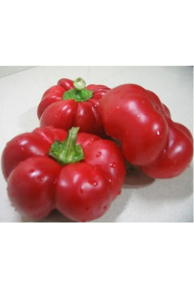 Muka Botanik Süper Paket 100 Tohum Nadir Ithal Tatlı Domates Biberi Tohumu Biber Tohumu - Resim 2
