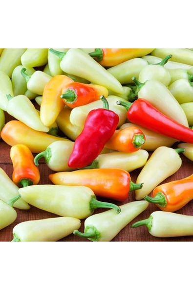 Muka Botanik 10 Adet Santa Fe Grande Acı Biber Tohumu ürün görseli