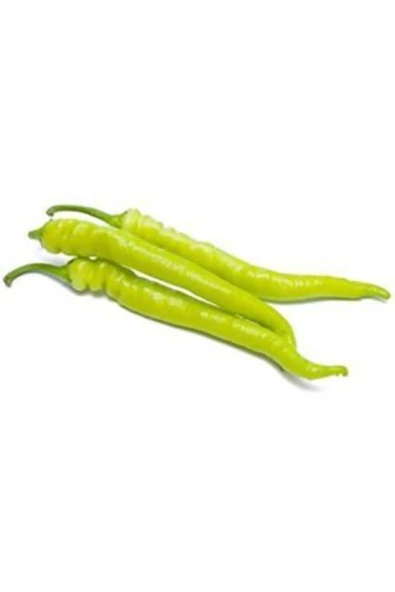 Muka Botanik Tatlı Sarı Sivri Turşuluk Biber Tohumu Ekim Seti - Resim 2