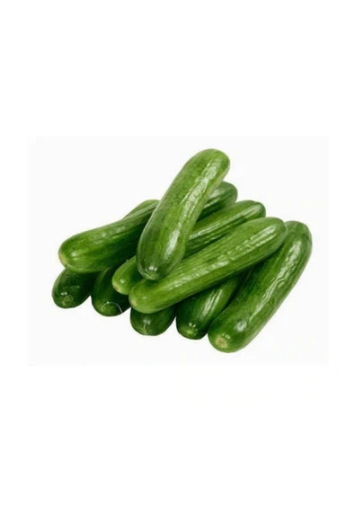 Muka Botanik Eko Paket 400 Adet Tohum Çengelköy Salatalık Tohumu Hıyar Salatalık Tohumu ürün görseli