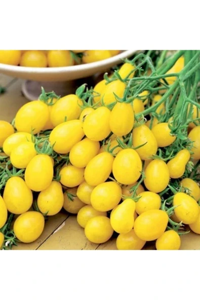 Muka Botanik 10 Adet Ildi Domates Tohumu ürün görseli