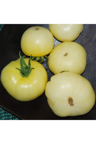 Muka Botanik White Wonder Domates Tohumu ürün görseli