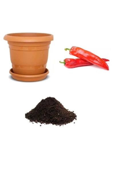 Muka Botanik Meşhur Acı Samandağ Biberi Tohumu Ekim Seti ürün görseli