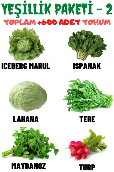 Muka Botanik Yeşillik Paketi-2 Iceberg Marul, Ispanak, Lahana, Tere, Maydanoz, Turp, Tohum Seti 600 Adet Tohum ürün görseli