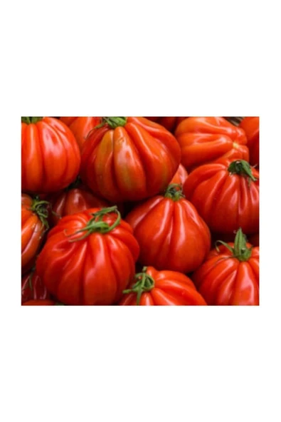 Muka Botanik Nadir Ithal Antik Domates Tohumu 20 Adet Tohum - Resim 2