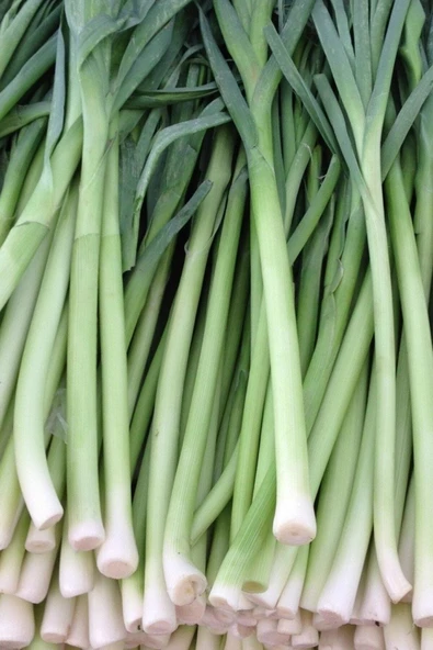 Muka Botanik Yerli Inegöl Pırasa Tohumu 40 Adet Tohum ürün görseli