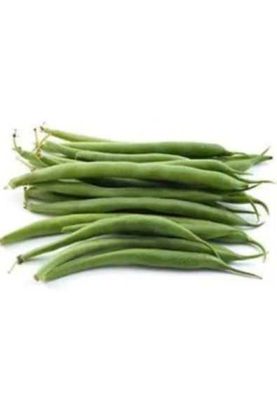 Muka Botanik Erkenci Eymen Fasulye Tohumu Ekim Seti - Resim 2