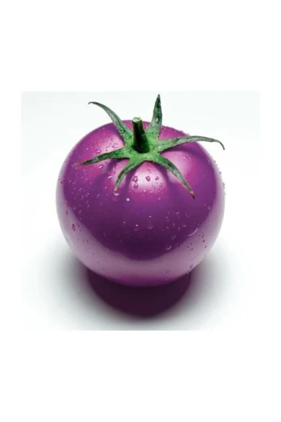 Muka Botanik Nadir Ithal Mor Domates Tohumu 10 Adet Tohum ürün görseli