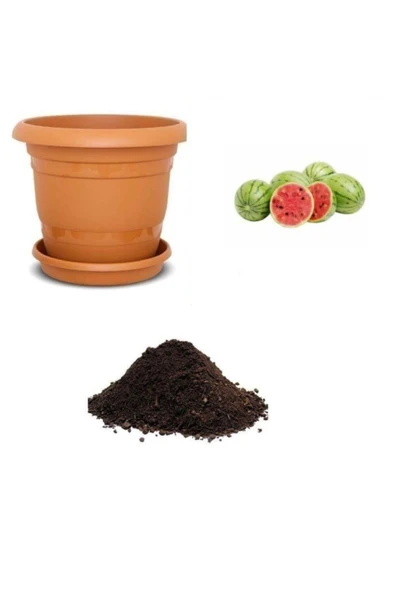 Muka Botanik Baby Karpuz Tohumu Ekim Seti ürün görseli