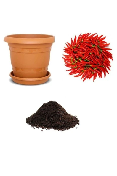 Muka Botanik Ithal Acı Macar Biberi Tohumu Ekim Seti ürün görseli