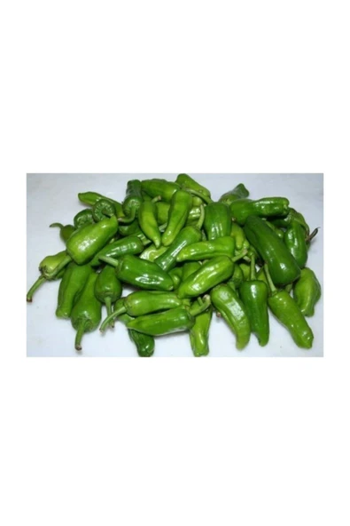 Muka Botanik Köy Biberi Tohumu 10+ Adet Tohum - Resim 2