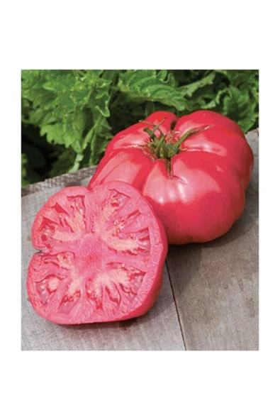 Muka Botanik Nadir Iri Pembe Domates Tohumu 10 Adet Tohum Bulgar Domatesi - Resim 2