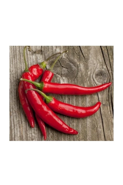 Muka Botanik Meksika Biberi Tohumu 20+ Tohum ürün görseli