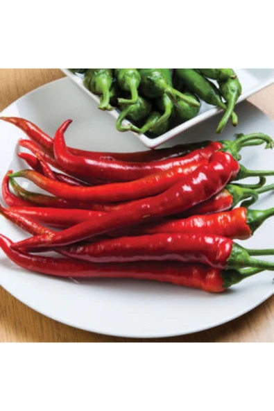 Muka Botanik Uzun Kırmızı Tatlı Sivri Biber Tohumu Ekim Seti - Resim 3