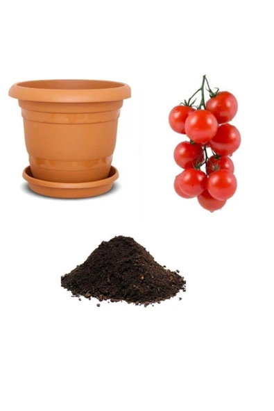 Muka Botanik Nadir Erkenci Salkım Domates Tohumu Ekim Seti ürün görseli