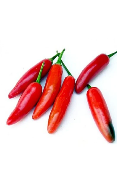 Muka Botanik 20 Adet Serrano Acı Biber Tohumu ürün görseli